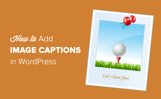 How to Add Caption to Images in WordPress How to Add Caption to Images in WordPress