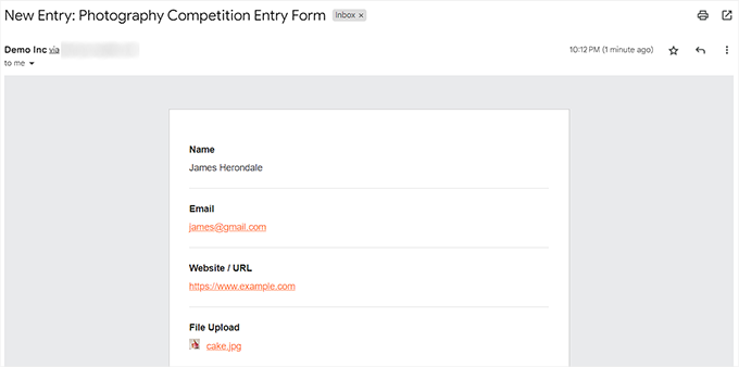 Preview of the email you'll receive when someone fills the form Preview of the email you'll receive when someone fills the form